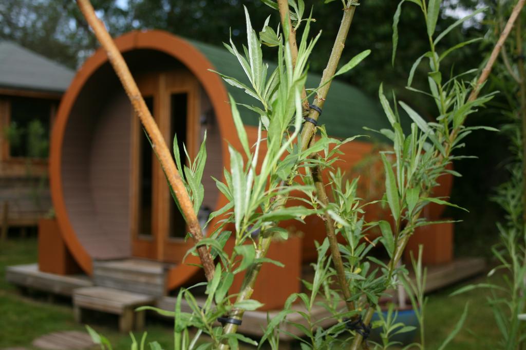 Bcc Lochness Hostel Pods Bearnock Exterior foto