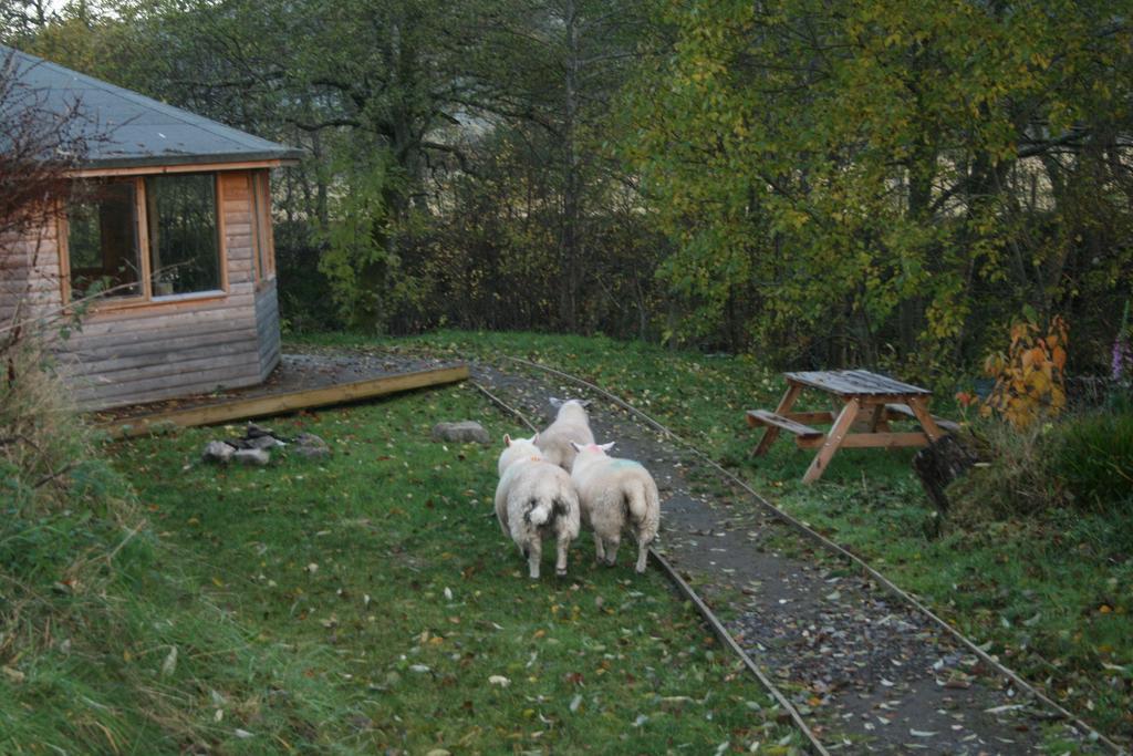 Bcc Lochness Hostel Pods Bearnock Exterior foto