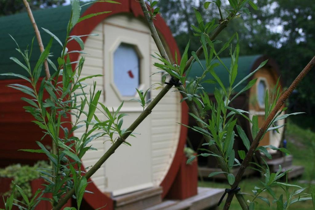 Bcc Lochness Hostel Pods Bearnock Habitación foto