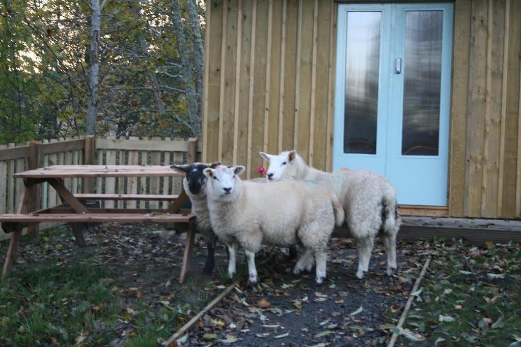 Bcc Lochness Hostel Pods Bearnock Exterior foto